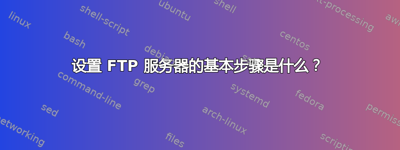 设置 FTP 服务器的基本步骤是什么？