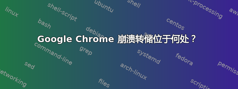 Google Chrome 崩溃转储位于何处？