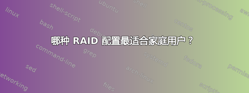 哪种 RAID 配置最适合家庭用户？