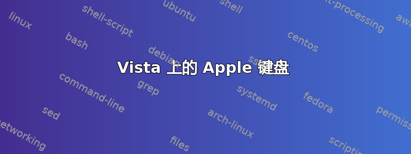 Vista 上的 Apple 键盘