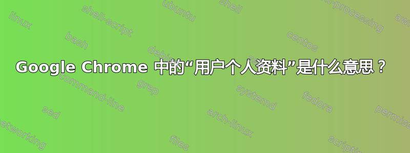 Google Chrome 中的“用户个人资料”是什么意思？