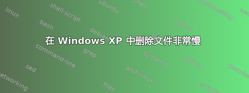 在 Windows XP 中删除文件非常慢