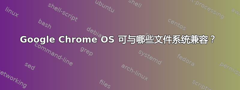 Google Chrome OS 可与哪些文件系统兼容？