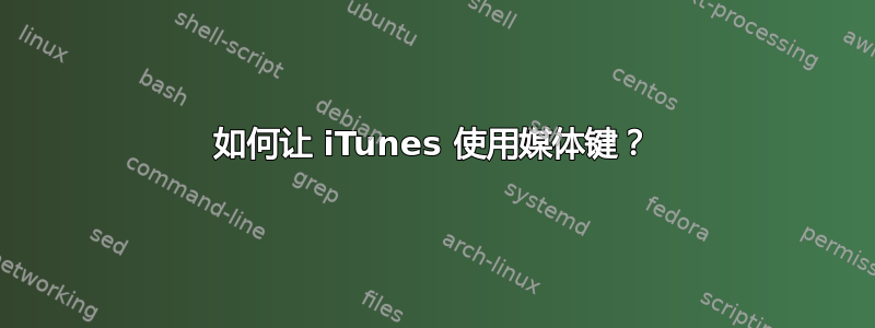 如何让 iTunes 使用媒体键？