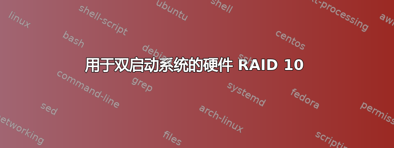 用于双启动系统的硬件 RAID 10