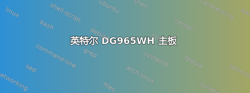 英特尔 DG965WH 主板