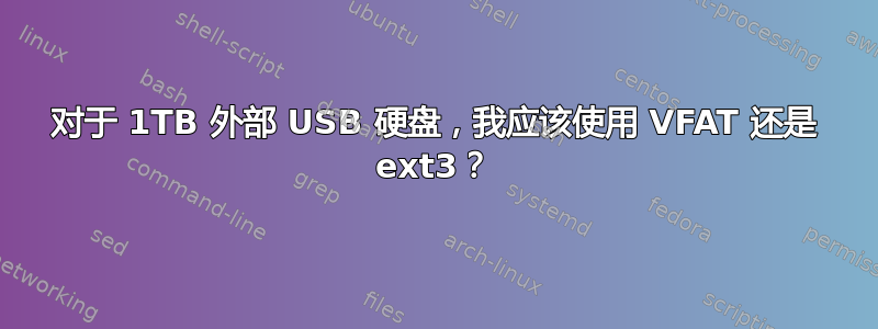 对于 1TB 外部 USB 硬盘，我应该使用 VFAT 还是 ext3？