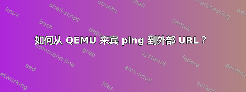 如何从 QEMU 来宾 ping 到外部 URL？