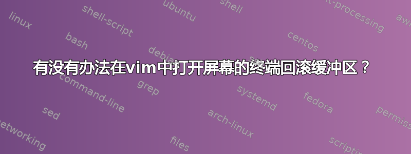 有没有办法在vim中打开屏幕的终端回滚缓冲区？