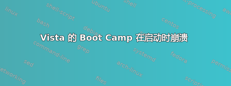 Vista 的 Boot Camp 在启动时崩溃