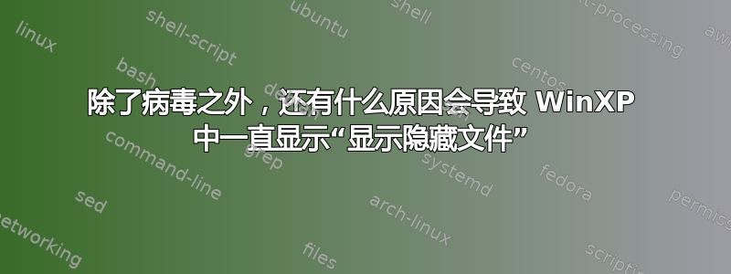 除了病毒之外，还有什么原因会导致 WinXP 中一直显示“显示隐藏文件”