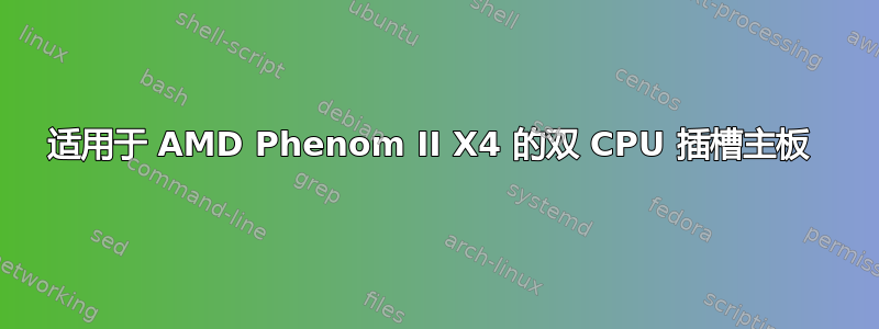 适用于 AMD Phenom II X4 的双 CPU 插槽主板 