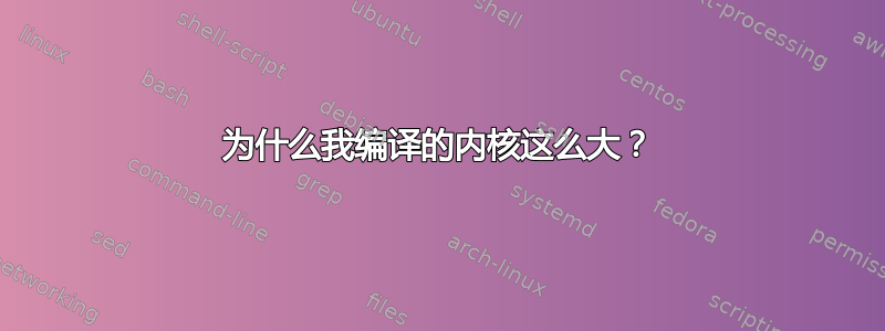 为什么我编译的内核这么大？