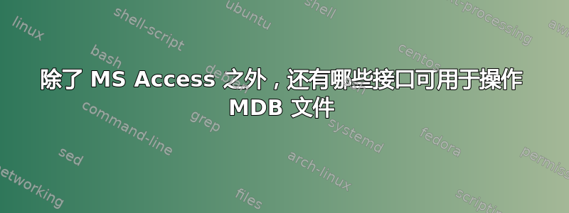 除了 MS Access 之外，还有哪些接口可用于操作 MDB 文件