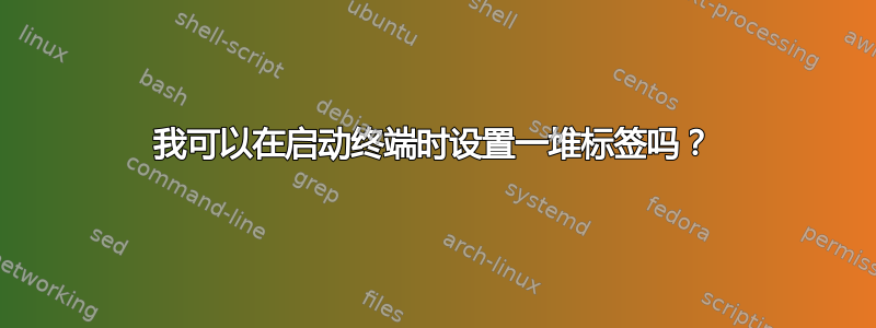 我可以在启动终端时设置一堆标签吗？