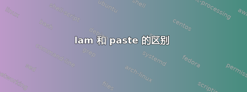 lam 和 paste 的区别