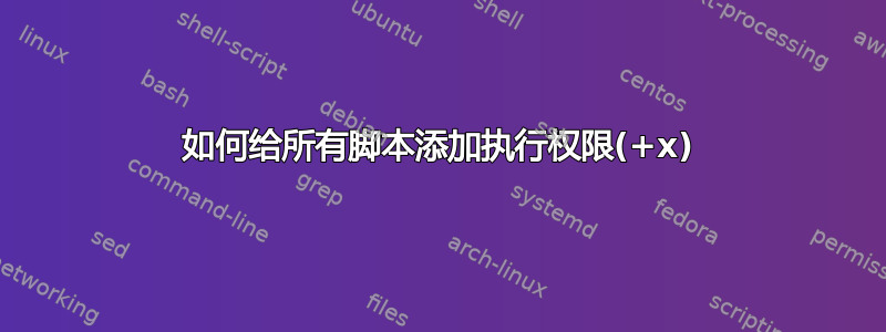 如何给所有脚本添加执行权限(+x)