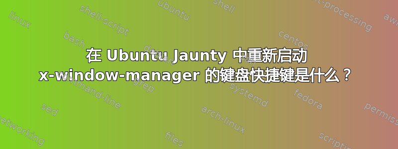 在 Ubuntu Jaunty 中重新启动 x-window-manager 的键盘快捷键是什么？