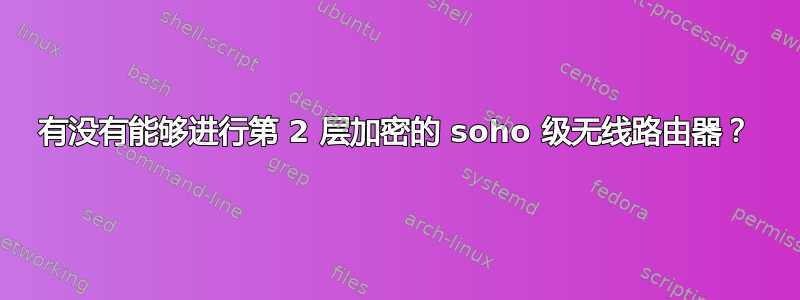 有没有能够进行第 2 层加密的 soho 级无线路由器？