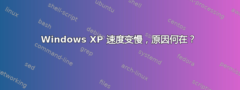 Windows XP 速度变慢，原因何在？