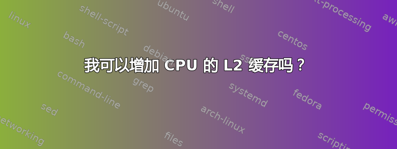 我可以增加 CPU 的 L2 缓存吗？