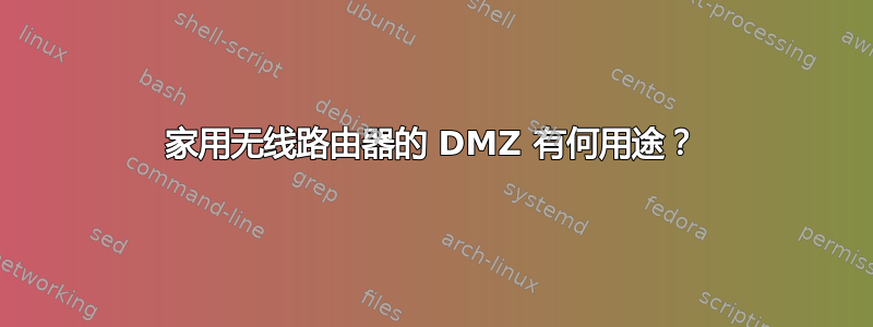 家用无线路由器的 DMZ 有何用途？