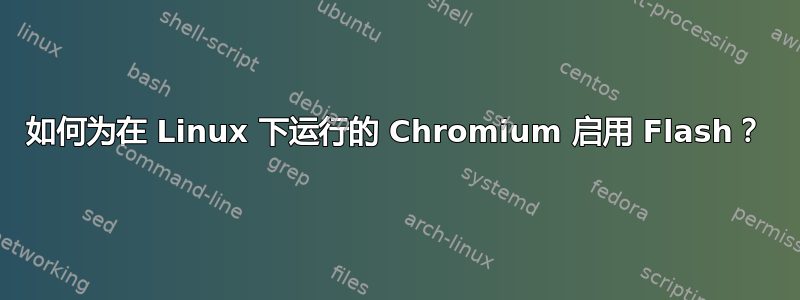 如何为在 Linux 下运行的 Chromium 启用 Flash？