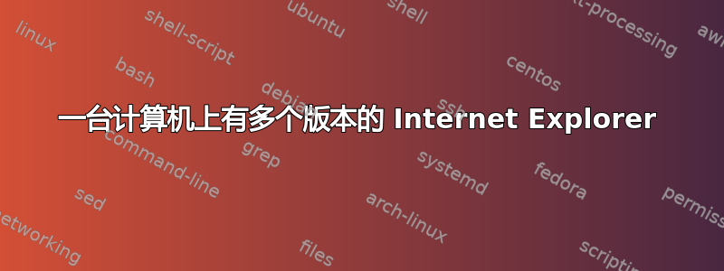 一台计算机上有多个版本的 Internet Explorer