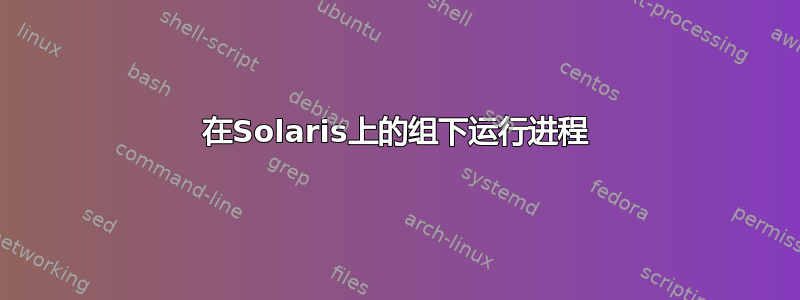 在Solaris上的组下运行进程