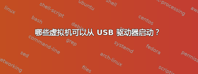 哪些虚拟机可以从 USB 驱动器启动？