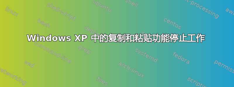 Windows XP 中的复制和粘贴功能停止工作