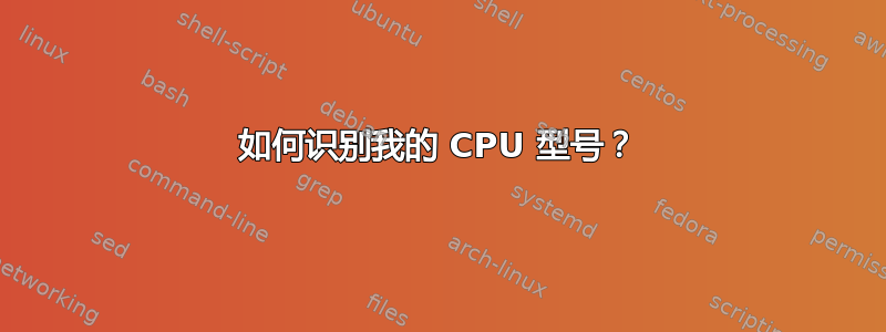 如何识别我的 CPU 型号？