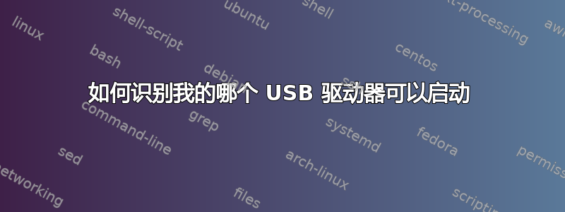 如何识别我的哪个 USB 驱动器可以启动