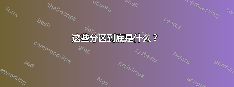 这些分区到底是什么？