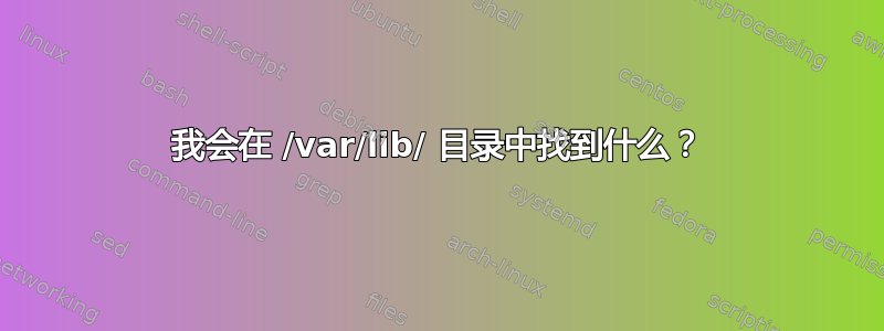 我会在 /var/lib/ 目录中找到什么？