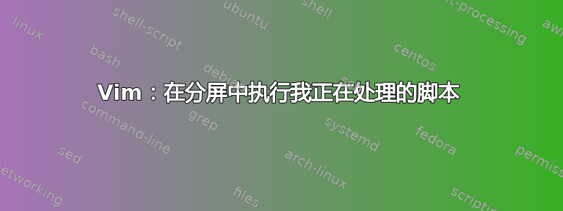 Vim：在分屏中执行我正在处理的脚本