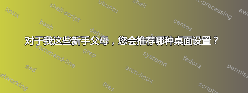 对于我这些新手父母，您会推荐哪种桌面设置？