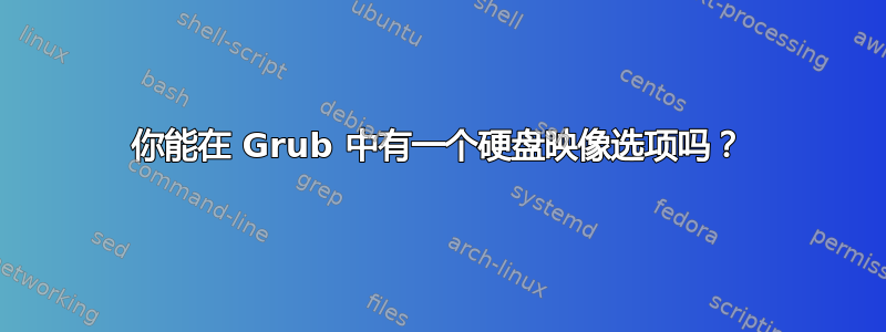 你能在 Grub 中有一个硬盘映像选项吗？