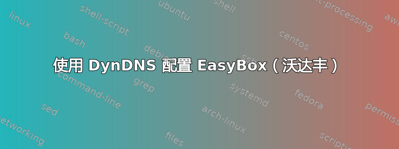 使用 DynDNS 配置 EasyBox（沃达丰）