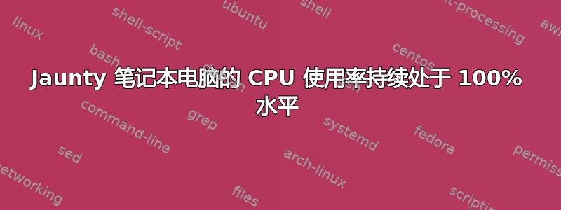 Jaunty 笔记本电脑的 CPU 使用率持续处于 100% 水平