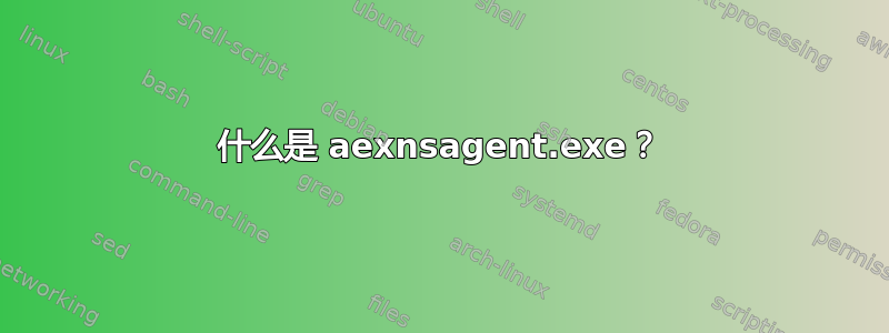 什么是 aexnsagent.exe？