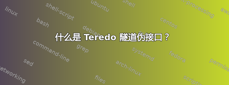 什么是 Teredo 隧道伪接口？