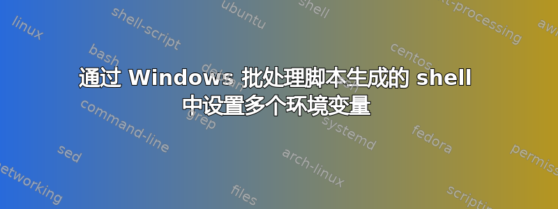 通过 Windows 批处理脚本生成的 shell 中设置多个环境变量