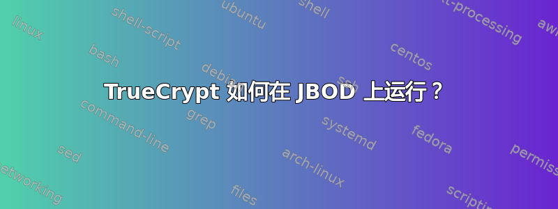 TrueCrypt 如何在 JBOD 上运行？