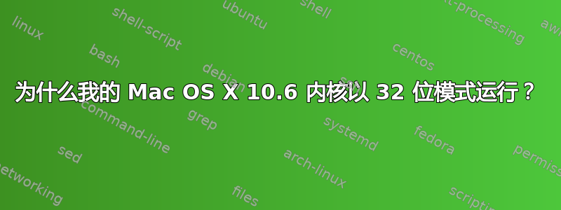 为什么我的 Mac OS X 10.6 内核以 32 位模式运行？