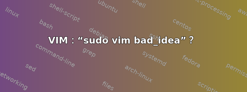 VIM：“sudo vim bad_idea”？