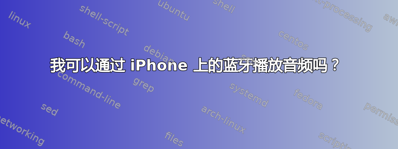 我可以通过 iPhone 上的蓝牙播放音频吗？