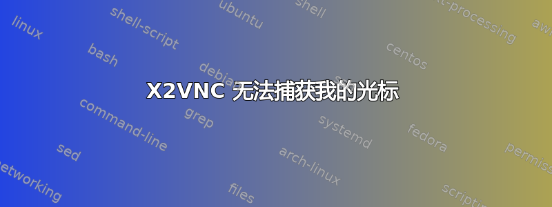 X2VNC 无法捕获我的光标