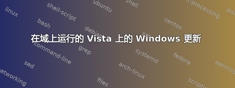 在域上运行的 Vista 上的 Windows 更新