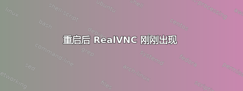 重启后 RealVNC 刚刚出现